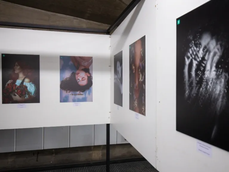  auckland attractions