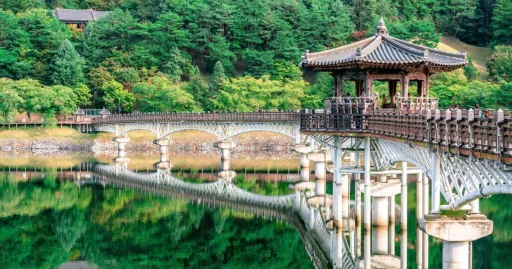 Image for article Exploring Gyeongsangbuk-do: Hidden Gems for Your Next Trip to South Korea