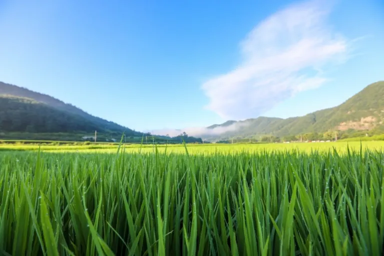 gyeongsangbuk-do province south korea