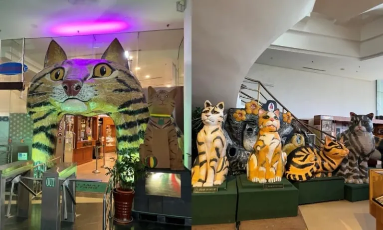 things to do kuching