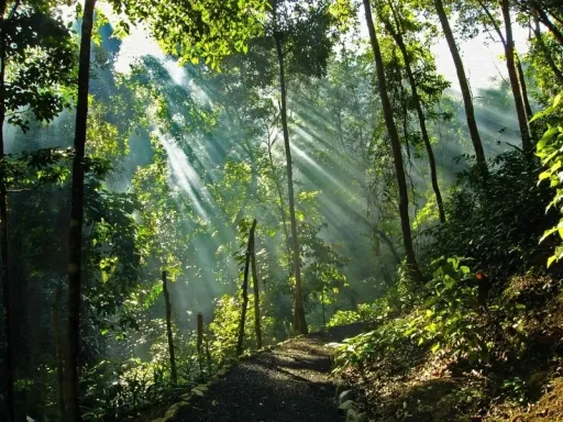 Image for article Penang Nature Escape: 10 Attractions to Visit in 2026