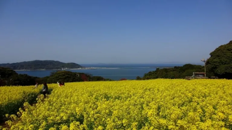 places to visit in fukuoka