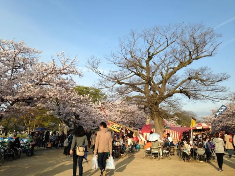 places to visit in fukuoka