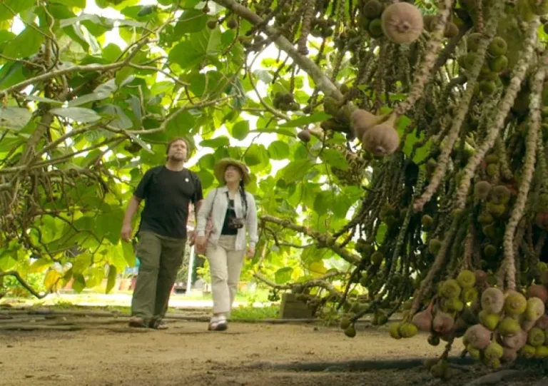 penang nature escape