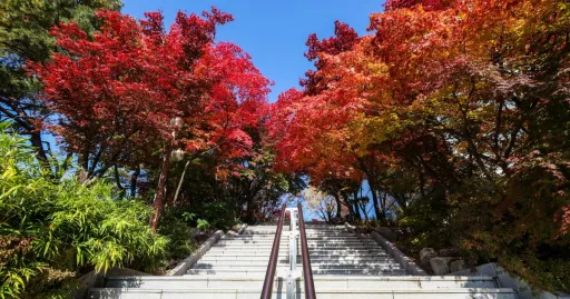 Image for article 10 Dreamy Universities in South Korea You’ll Want to Visit