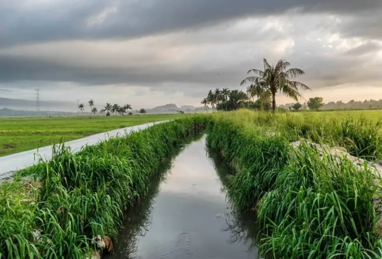 things to do in mainland Penang