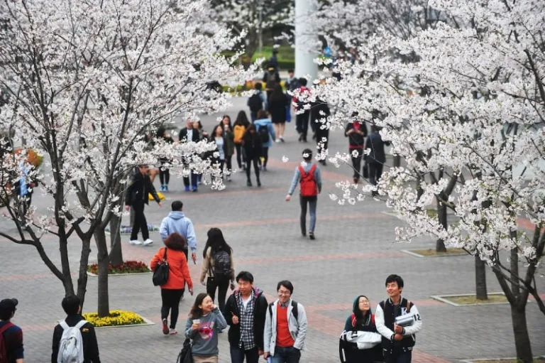 universities in south korea, Konkuk University