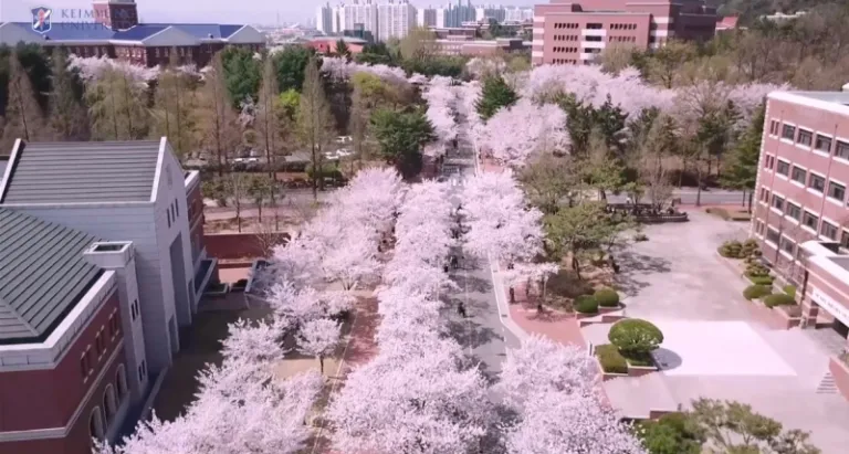 universities in south korea, Keimyung University