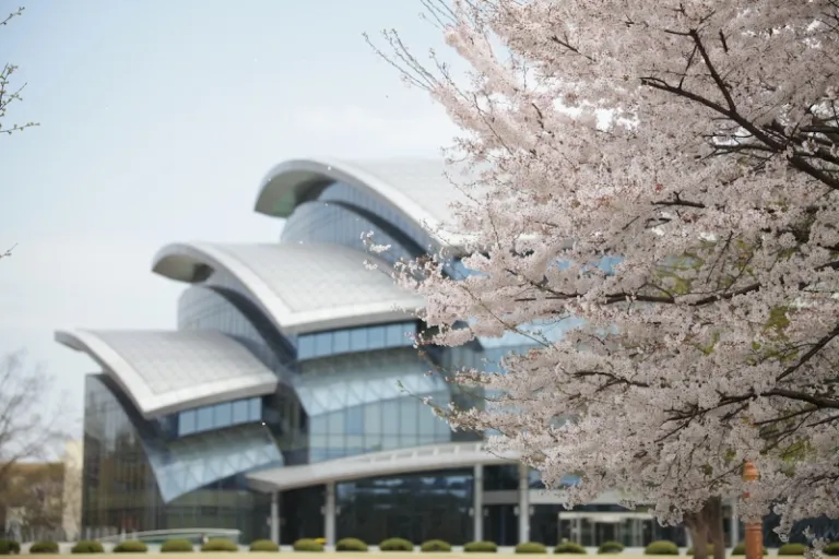 Sungkyungkwan University