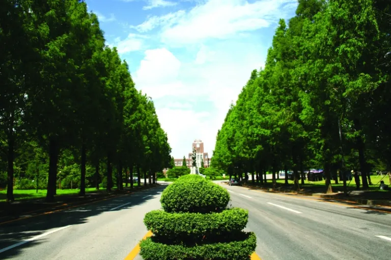 Chonnam University