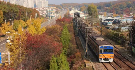 Image for article All The Scenic Train Rides In Korea That You Need To Know!