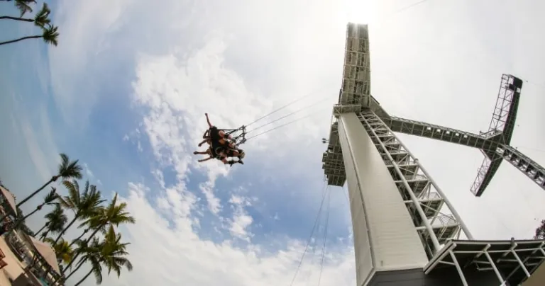 fun things to do in singapore