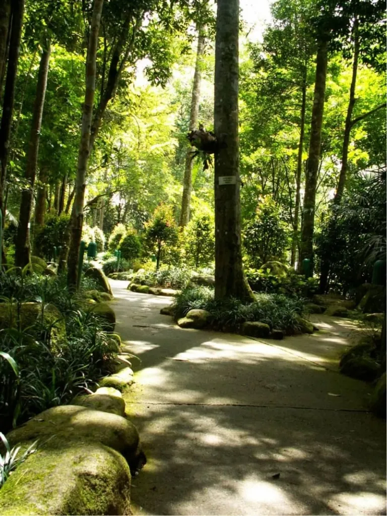 things to do in bentong