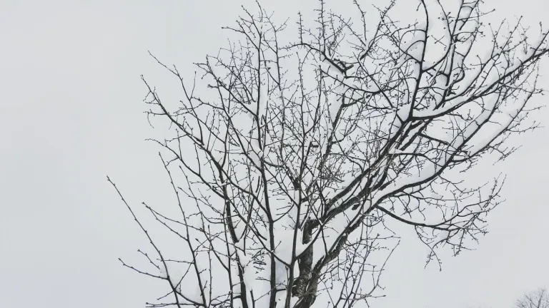 winter experience gifu