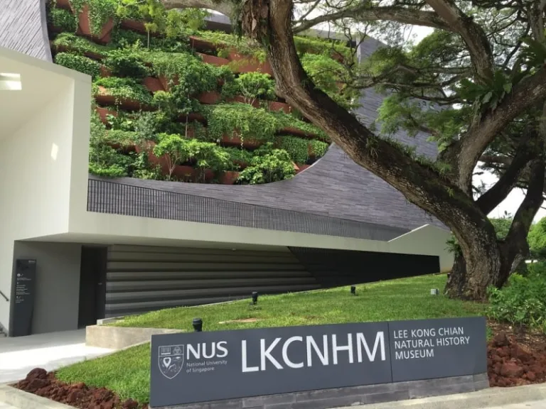 Lee Kong Chian National History Museum 