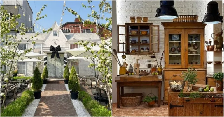 themed cafes in seoul