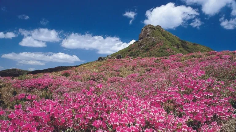 magical places korea