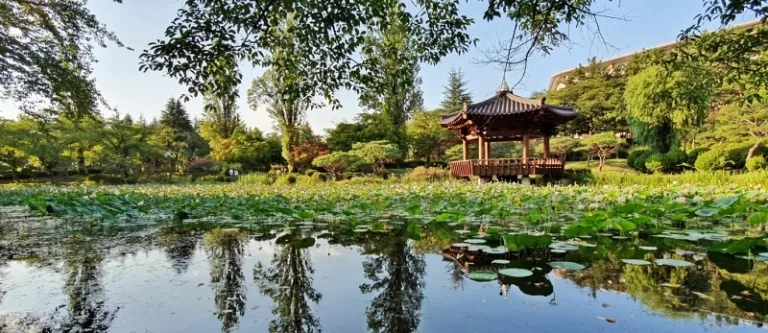 magical places korea