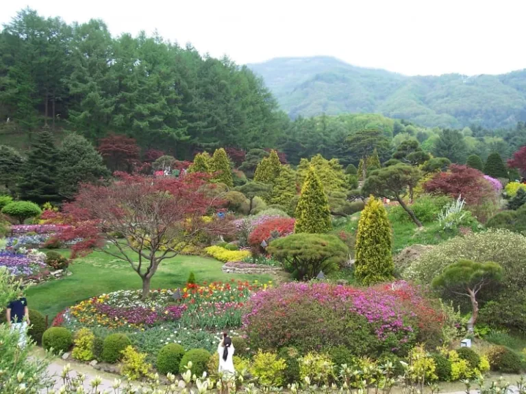 magical places korea