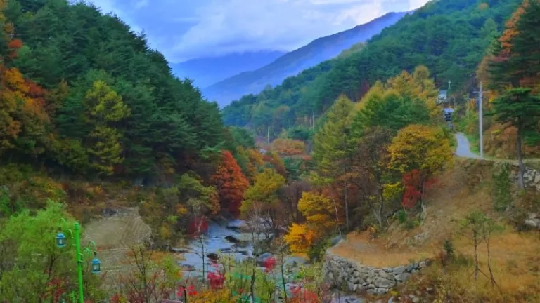 magical places korea
