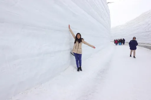 Image for article How to Get to Tateyama Alpine Route from Tokyo – A DIY Itinerary in 2025