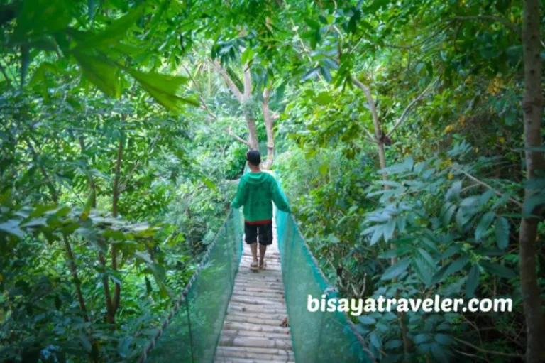 travel while still young