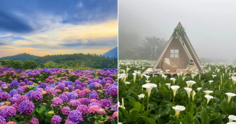 Taipei attractions: Zhuzihu