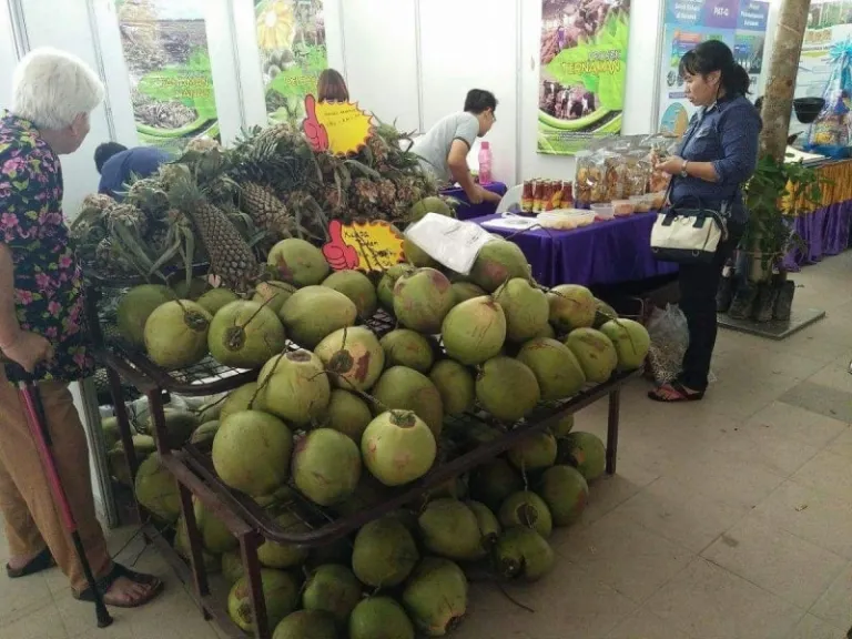 things to do in sarikei 