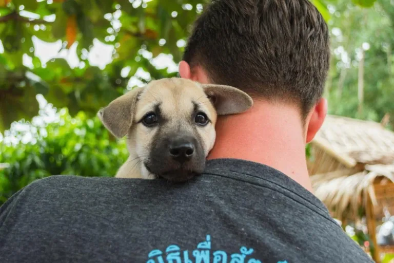 lanta animal welfare in koh lanta