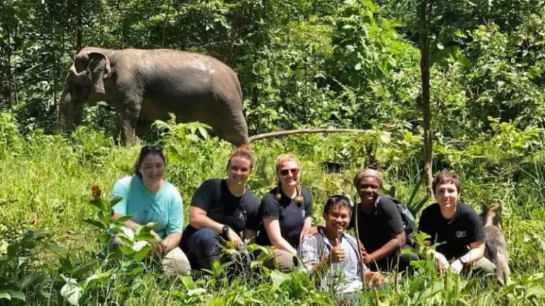 burm and emily's elephant sanctuary