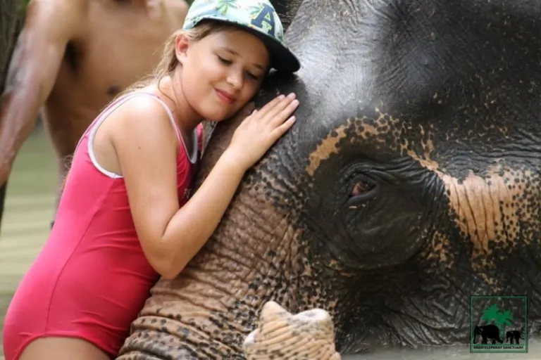 Krabi Elephant Sanctuary