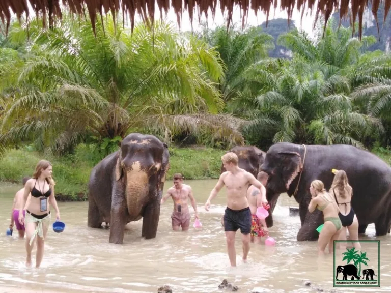 Krabi Elephant Sanctuary