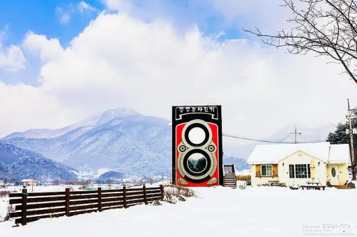 Image for article Inside the Dreamy Camera Cafe in Korea