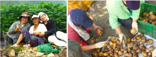 Image for article 7 Volunteer Programs in South Korea For Avid Explorers