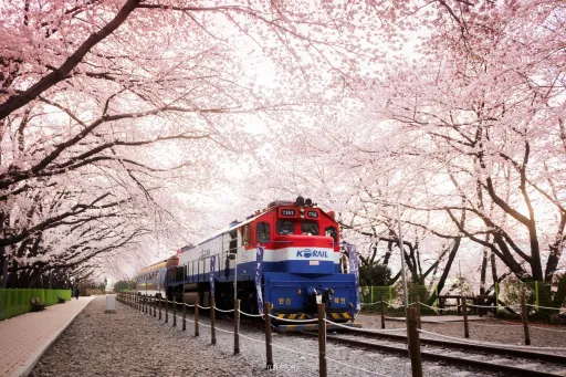 Image for article 11 Fun Things to Do in Korea During the Different Seasons