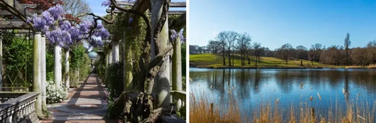 picnic spots in london