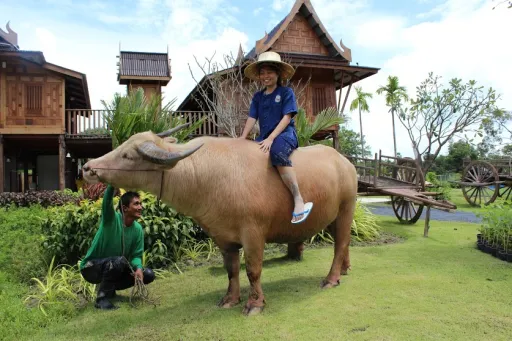 Image for article Phuket Adventures: I Didn’t Choose The Farm Life, The Vanich Farm Life Chose Me