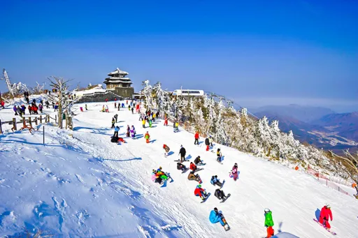 Image for article 20 Absolutely Magical Photos of Korea That Prove It’s A Winter Wonderland