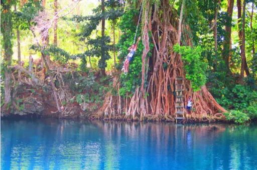 Image for article 10 Days Itinerary For Vanuatu: Beach, Blue Holes, Volcanos and Tribes