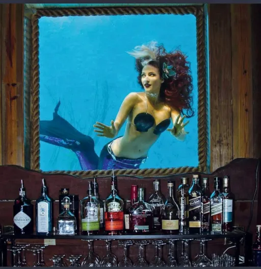 Image for article 6 Unique Dining Experiences for Adventurous Travellers