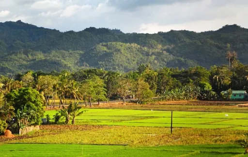 Image for article Sipalay City: The Jewel of Negros Occidental, Philippines