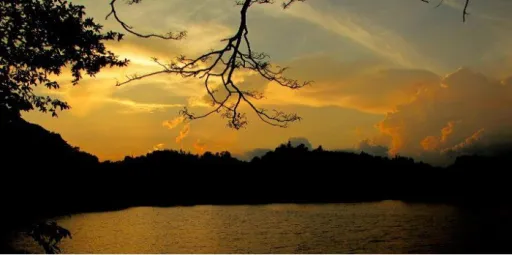 Image for article 7 Things to Do in Kandy, Sri Lanka