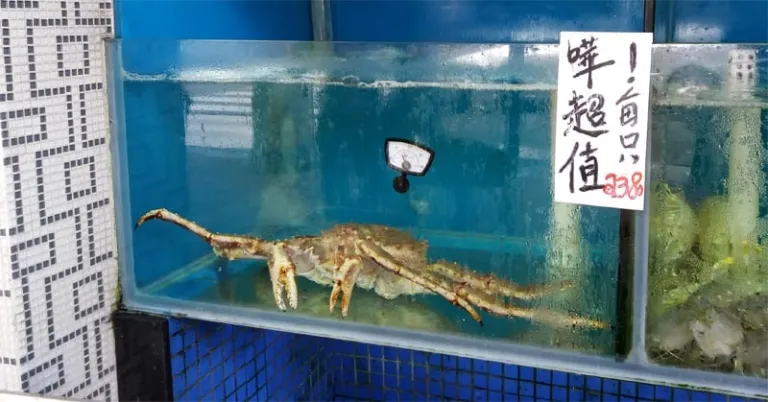 seafood restaurant in the Old Taipa Village