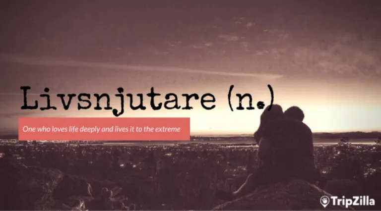 beautiful words traveller