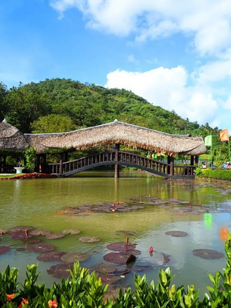 Albay Park &amp; Wildlife