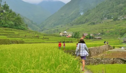 Image for article Hungduan Rice Terraces Day Trip Guide for First Timers