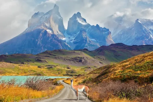 Image for article 5 Most Scenic Experiences in Chile that You Have to Try