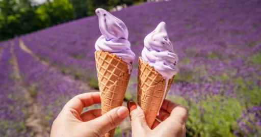 Image for article 26 Weird Ice Cream Flavours in Japan You Have to Taste to Believe!