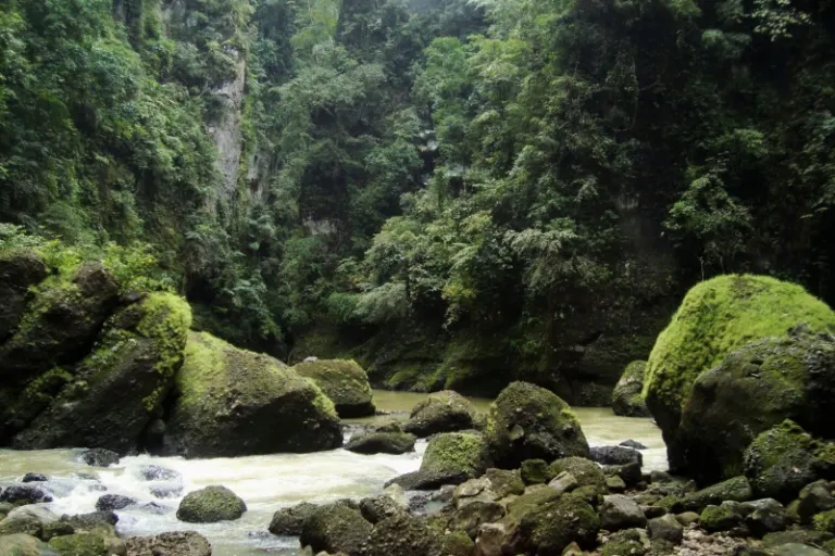 philippines rainy season destinations