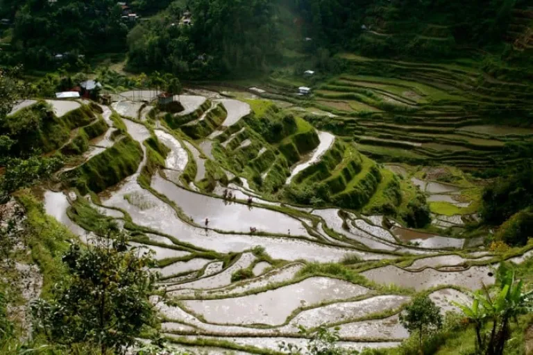 Batad, Banaue, Ifugao